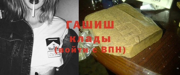 мет Алексин