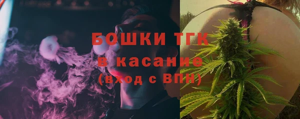мет Алексин
