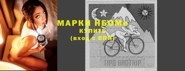 мет Алексин