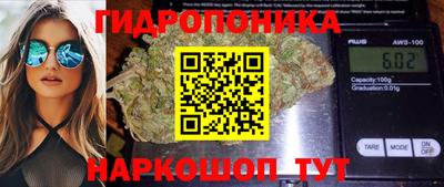 эйфоретик Моздок
