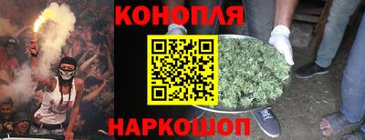 стафф Можга