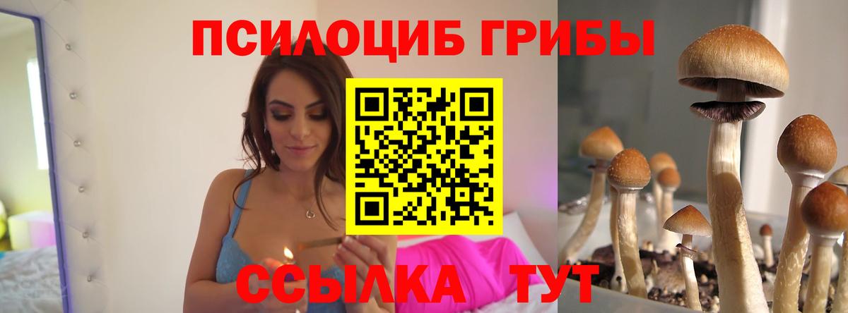 Геленджик  Галлюциногенные грибы Psilocybe  наркошоп  Псилоцибиновые грибы Cubensis  Вход с VPN 